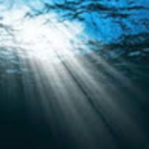 Meet your Posher, Ocean